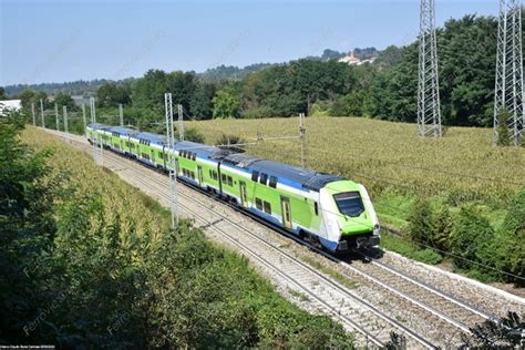 vigevano treno